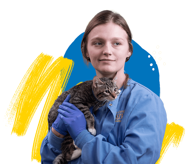 SJVC-Veterinary-Assisting-Program