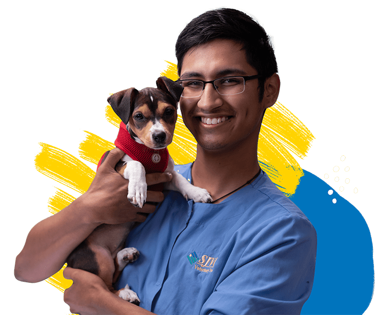 SJVC-Veterinary-Technology-Program