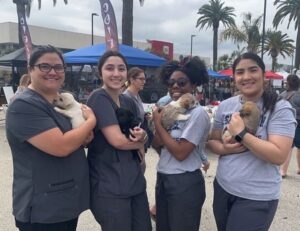 Doing a Doggone Good Job:  Veterinary Assistant Student Volunteer Event