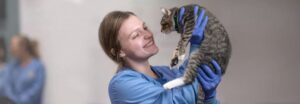 SJVC Ontario Now Offering Associate of Science in Veterinary Technology